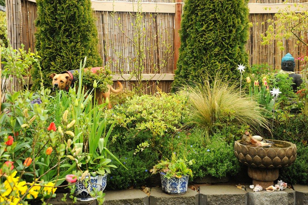 Bloom and Stem plant store demo