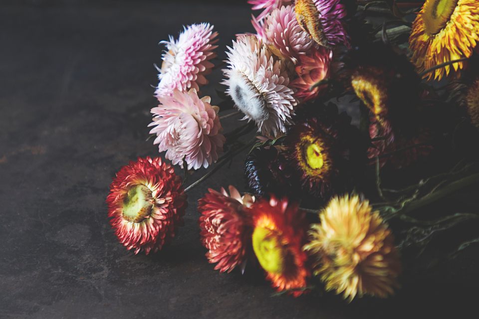 Dried — Bloom & Stem