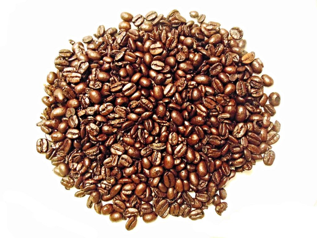 Roastery No.5 coffee store demo