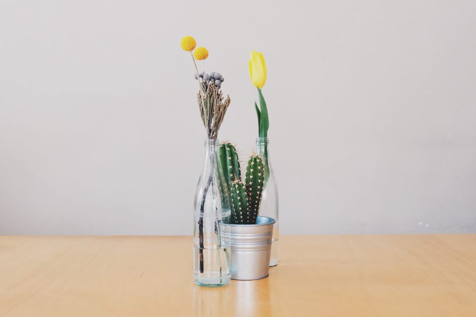 Vases — Terra Ceramics